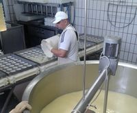 herst camembert1